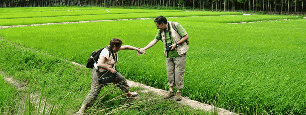 walking-in-kerala-paddy-fields