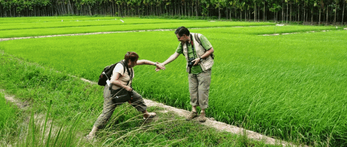 walking-in-kerala-paddy-fields