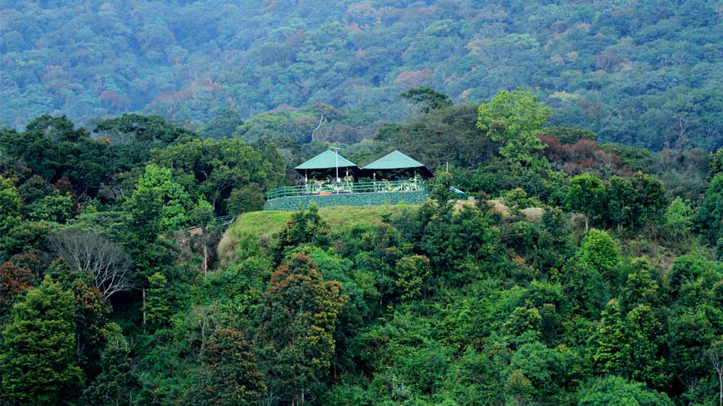 Pambadum Shola