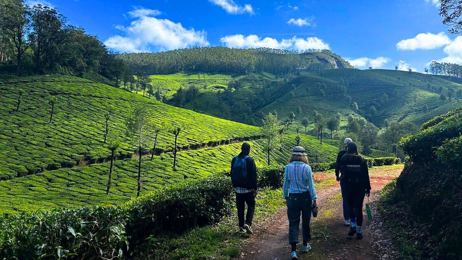 lockhart-munnar