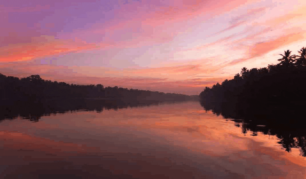 Kollam Backwaters