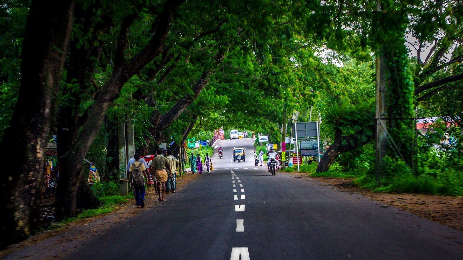  kerala-road
