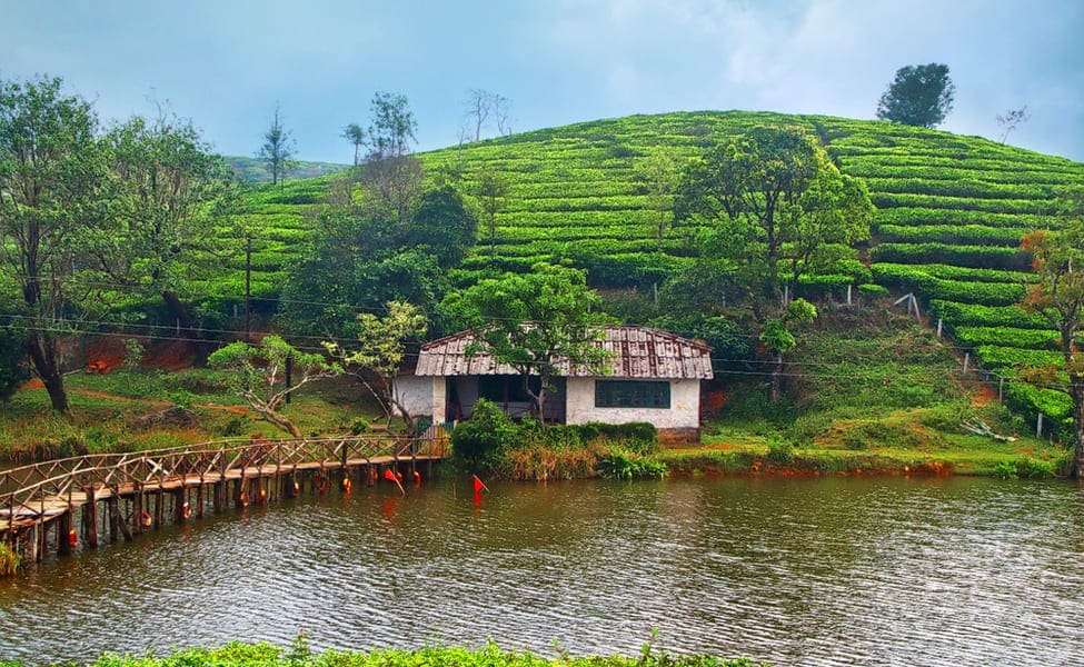 Things to do in Vagamon