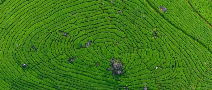 munnar-kerala