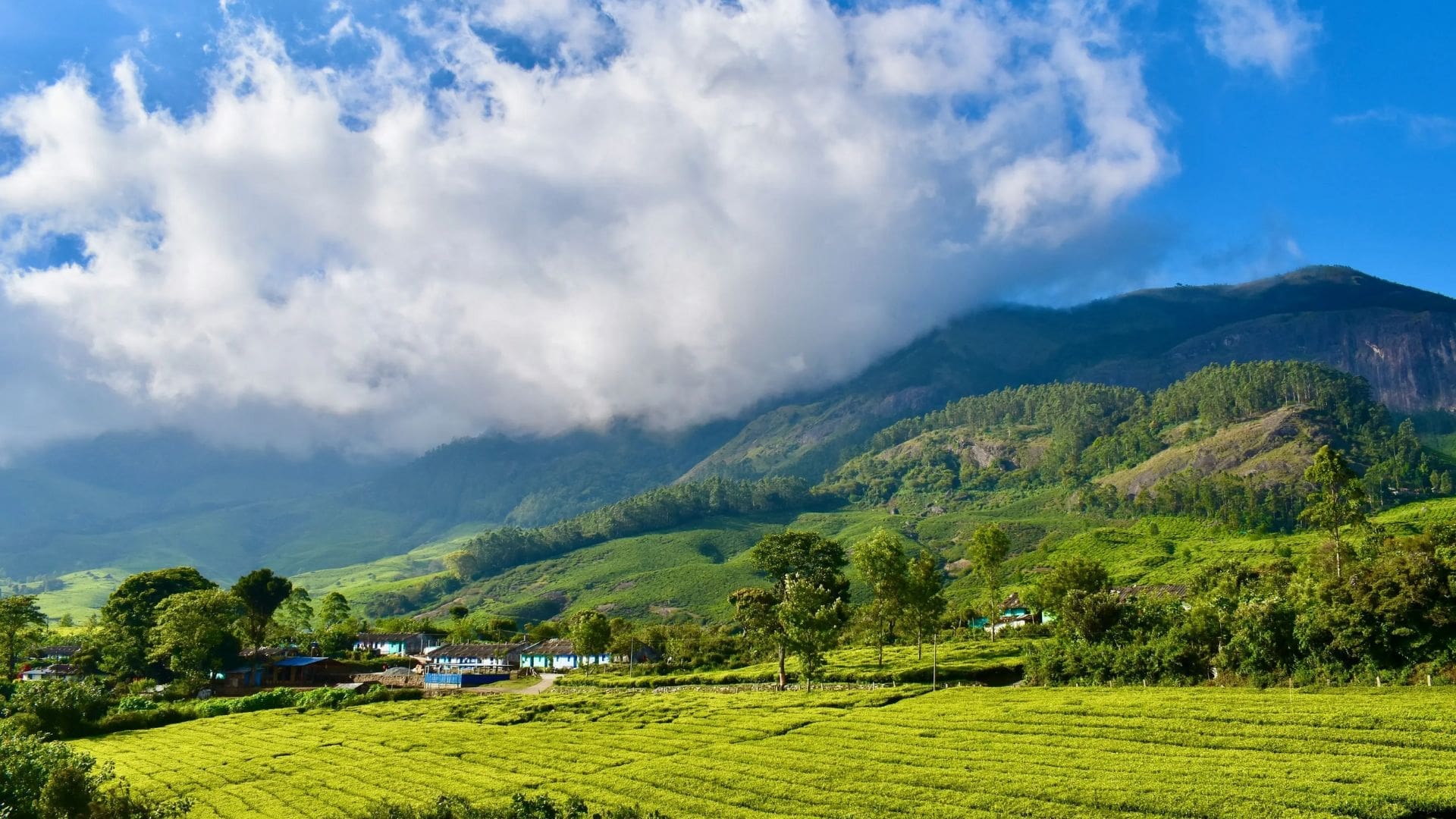 suryanelli-munnar