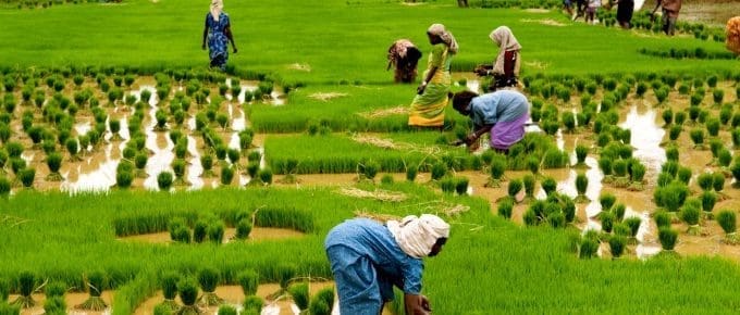 kerala-itinerary