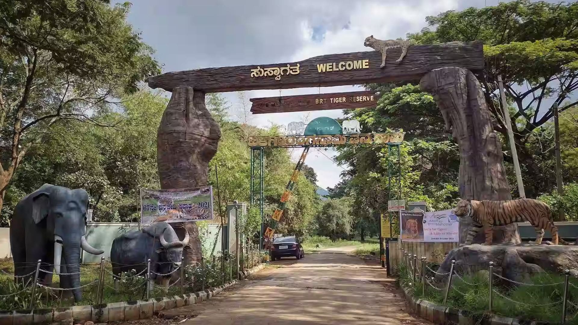 singara-reserve-forest